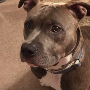 Meet your Posher, Emilie